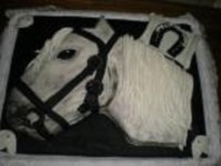 /album/fotogaleria-fotogaleria/caballo-1-jpg/